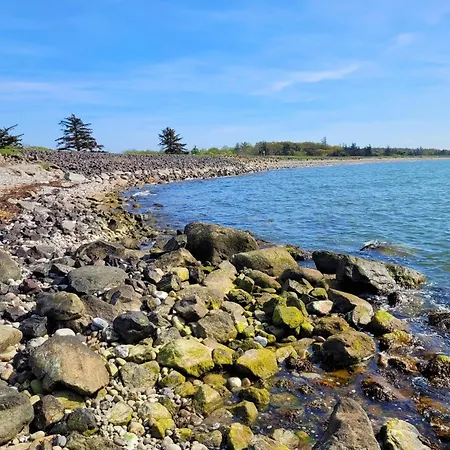 Tatil Evi Charmantes Haus Mit Garten In Petersdorf *