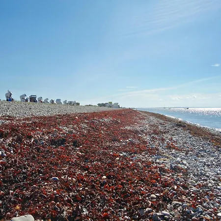 Charmantes Haus Mit Garten In Petersdorf Petersdorf auf Fehmarn